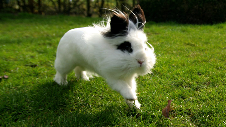 GettyImages-157031040_PUR-web v2.jpg