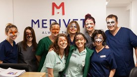 Wokingham team facepainted