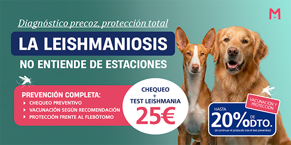 Imagen campaña Leishmaniosis