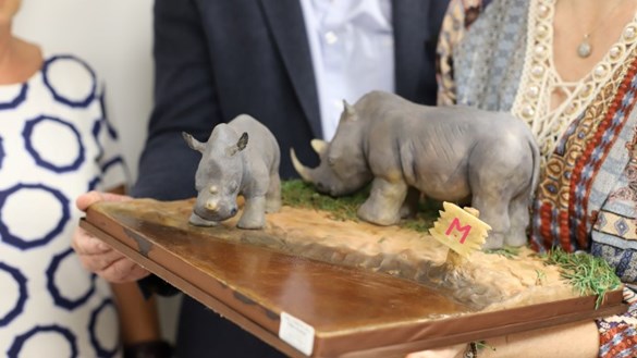 Rhino cake