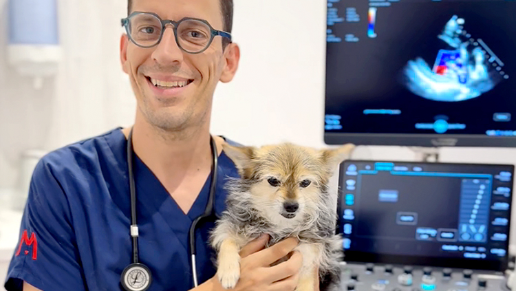 Cardiología veterinaria