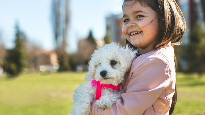 child playing with dog