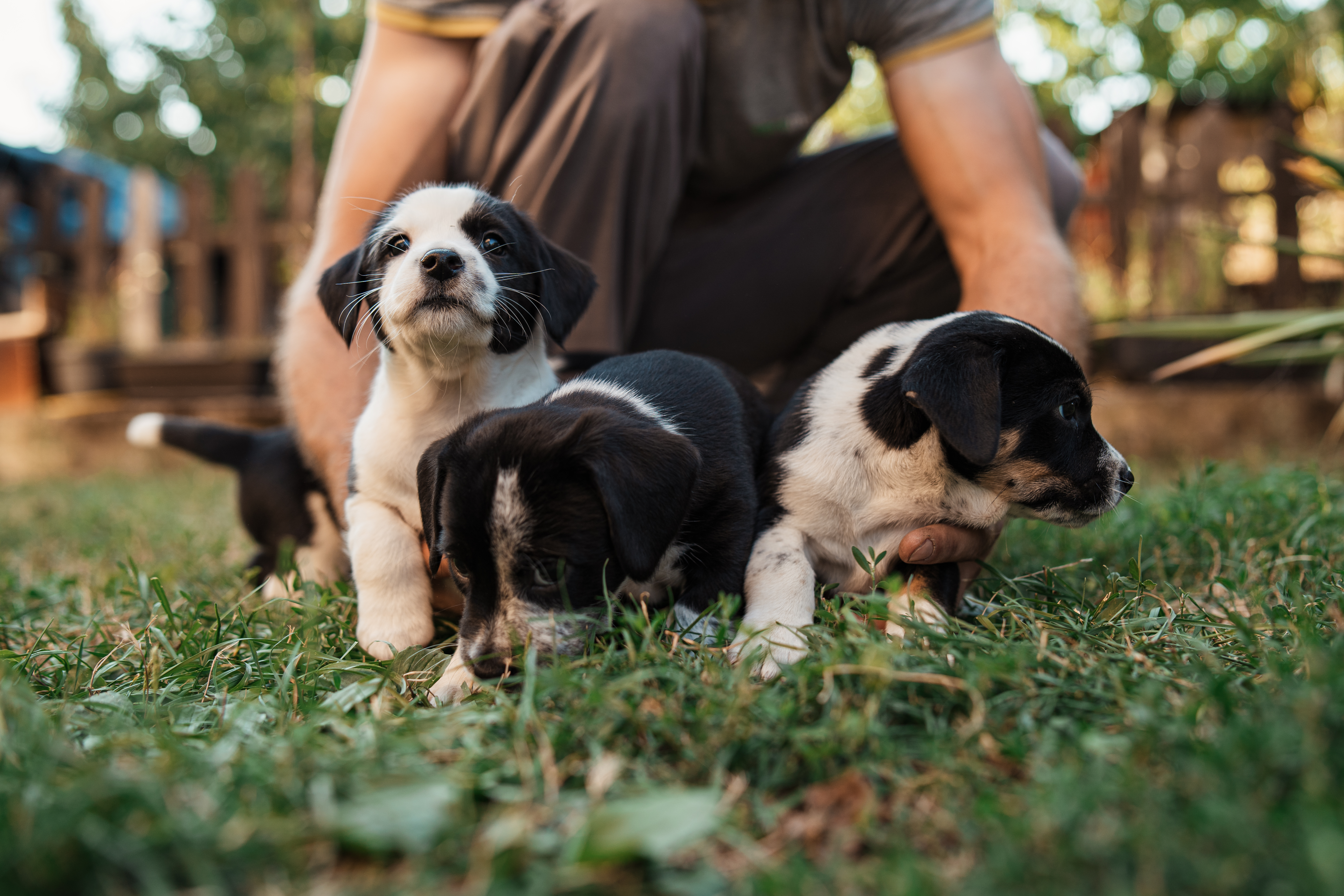 iStock-1340284537.jpg