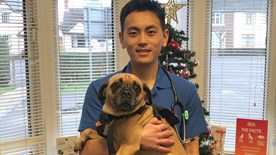 Vet holding Luna the dog