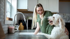 Woman washing in kitchen with dog