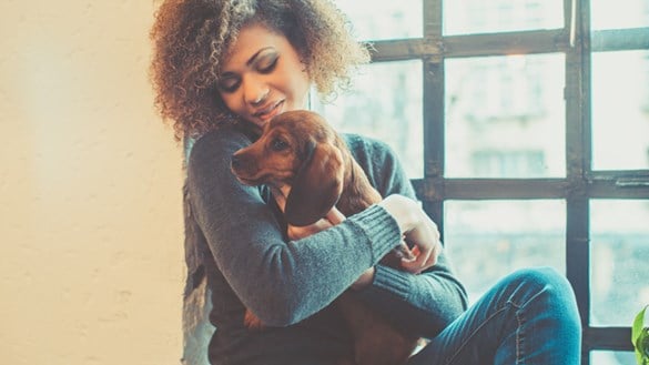 Woman holding daschund sitting by window